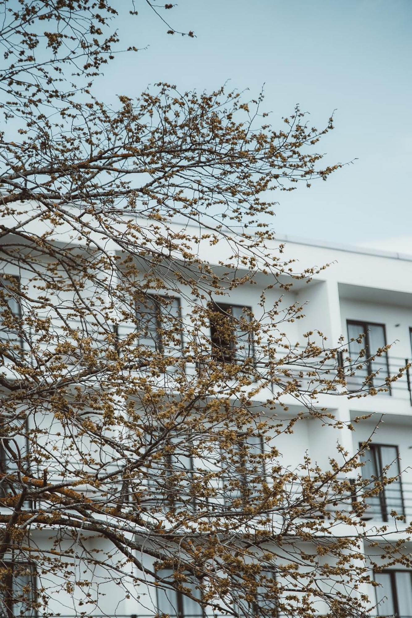 Oe Seaside Suites & Spa Kuressaare Esterno foto
